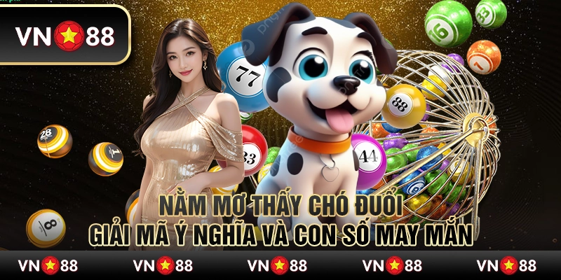 Nằm mơ thấy chó đuổi - Giải mã ý nghĩa và con số may mắn